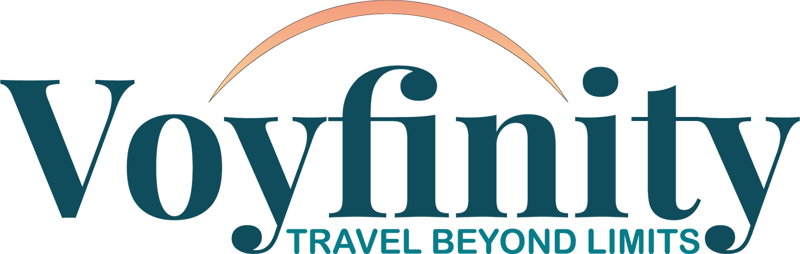 voyfinity.com